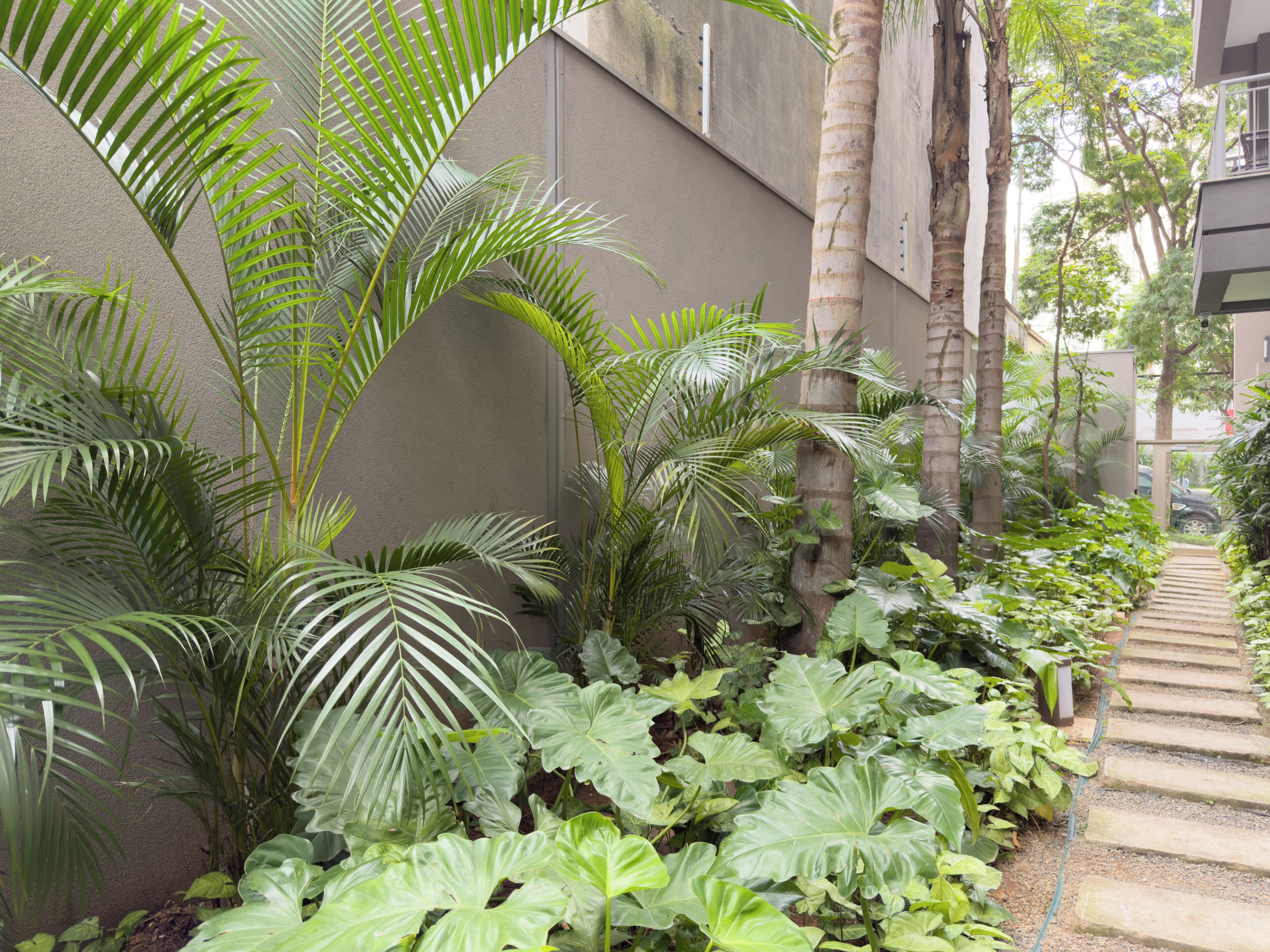 Apartamento Business | Vistas al jardín