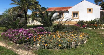 Casa Swagatam, Pearl at the Atlantic coast. Family and pet friendly.