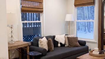 Smart TV, fireplace, video games, books