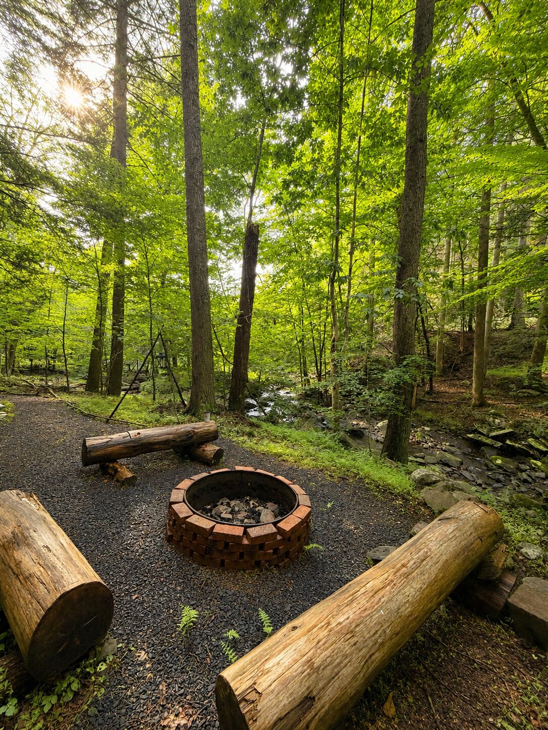 A forest with a circular fire pit surrounded by logs and rocks.