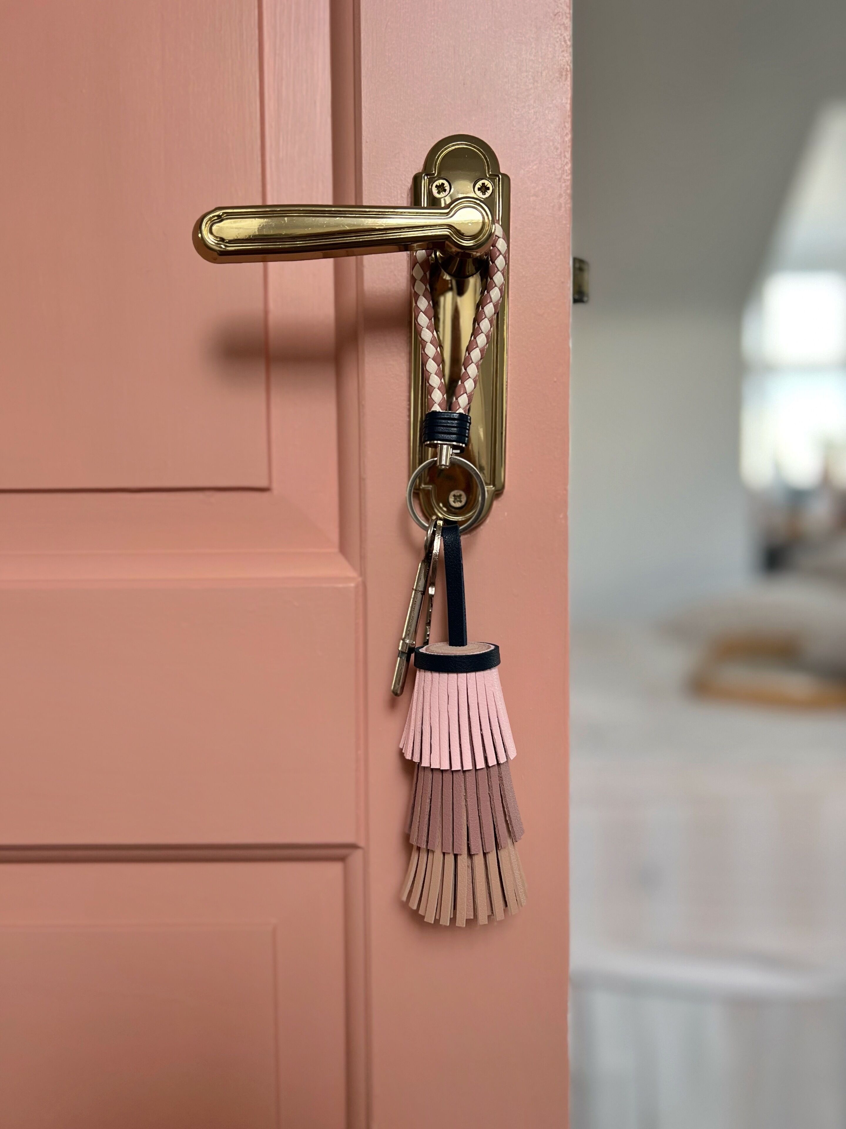 A door with a brass handle and a keyring with a tassel.
