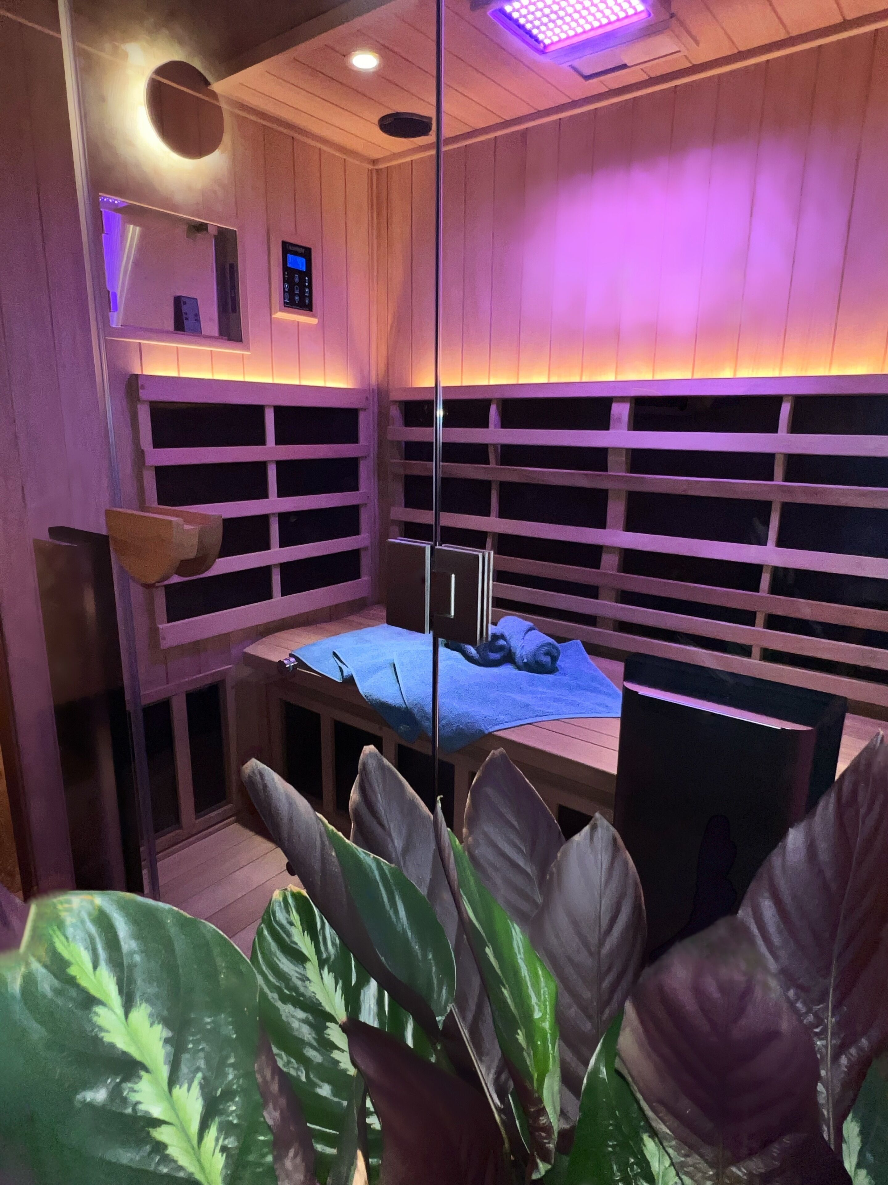 A room with bunk beds, a small desk, and a plant.