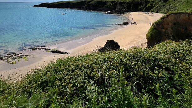 A coastal beach with clear skies, a sandy shore, and green vegetation. - Thistledown Lodge (Templetown)