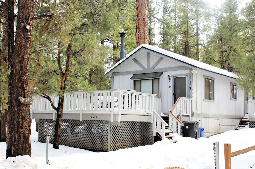 Cedar Pines