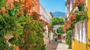 A narrow cobblestone street lined with buildings, some with balconies adorned with potted plants and flowers. - Estepona Beach Getaway! 2BR Apartment (Estepona)