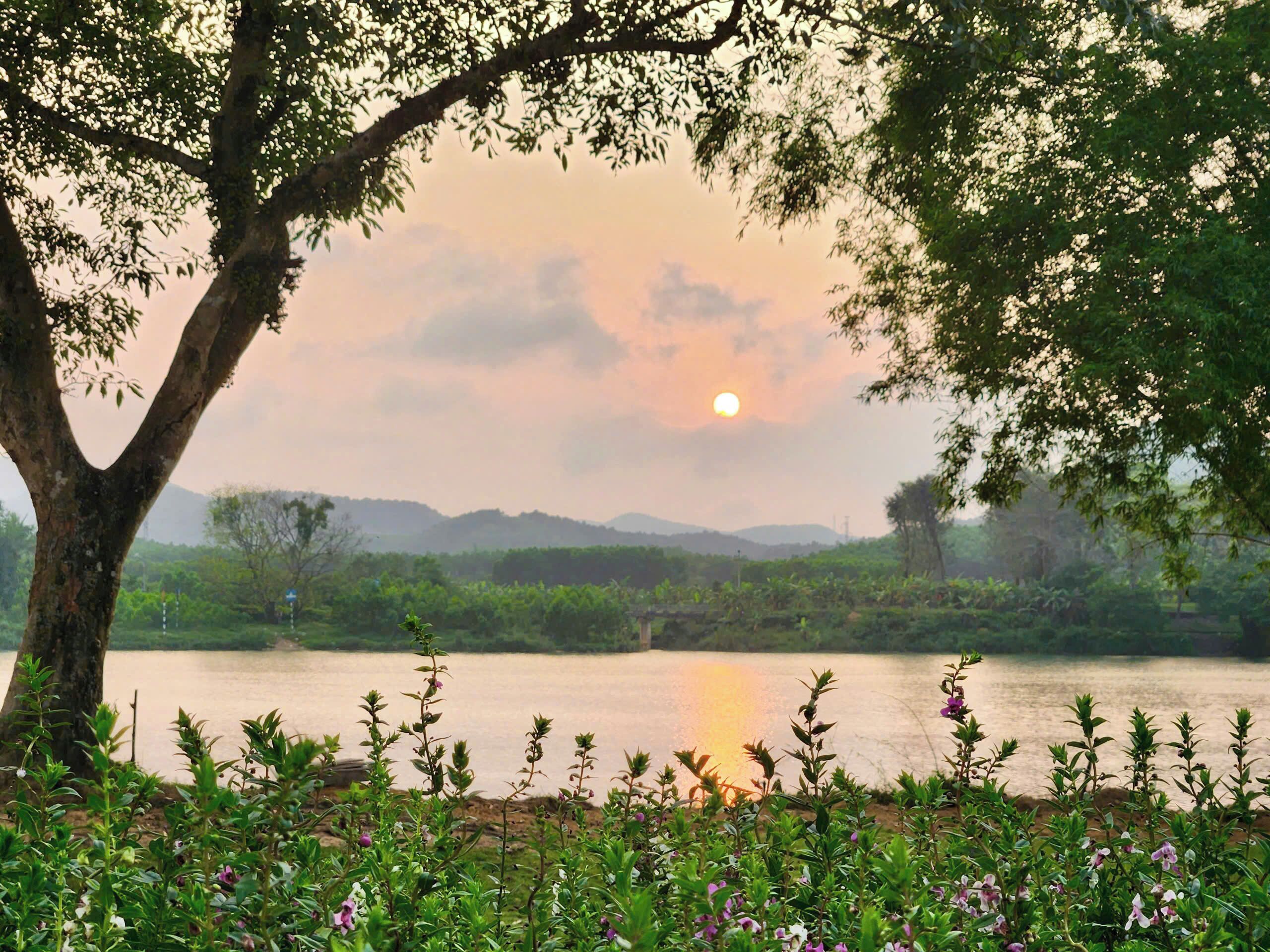 A serene landscape with a tree in the foreground, a body of water in the middle ground, and a sunset in the background.