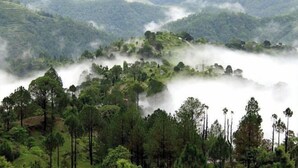 A mountainous landscape with dense greenery and mist-covered peaks. - BluSalzz Escapade, Lansdowne - Uttarakhand (Lansdowne)
