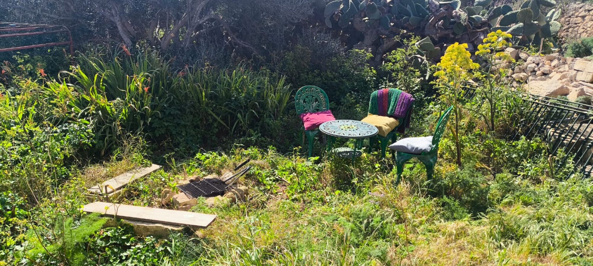 Um jardim com mesa e cadeiras, cercado por vegetação e cactos.