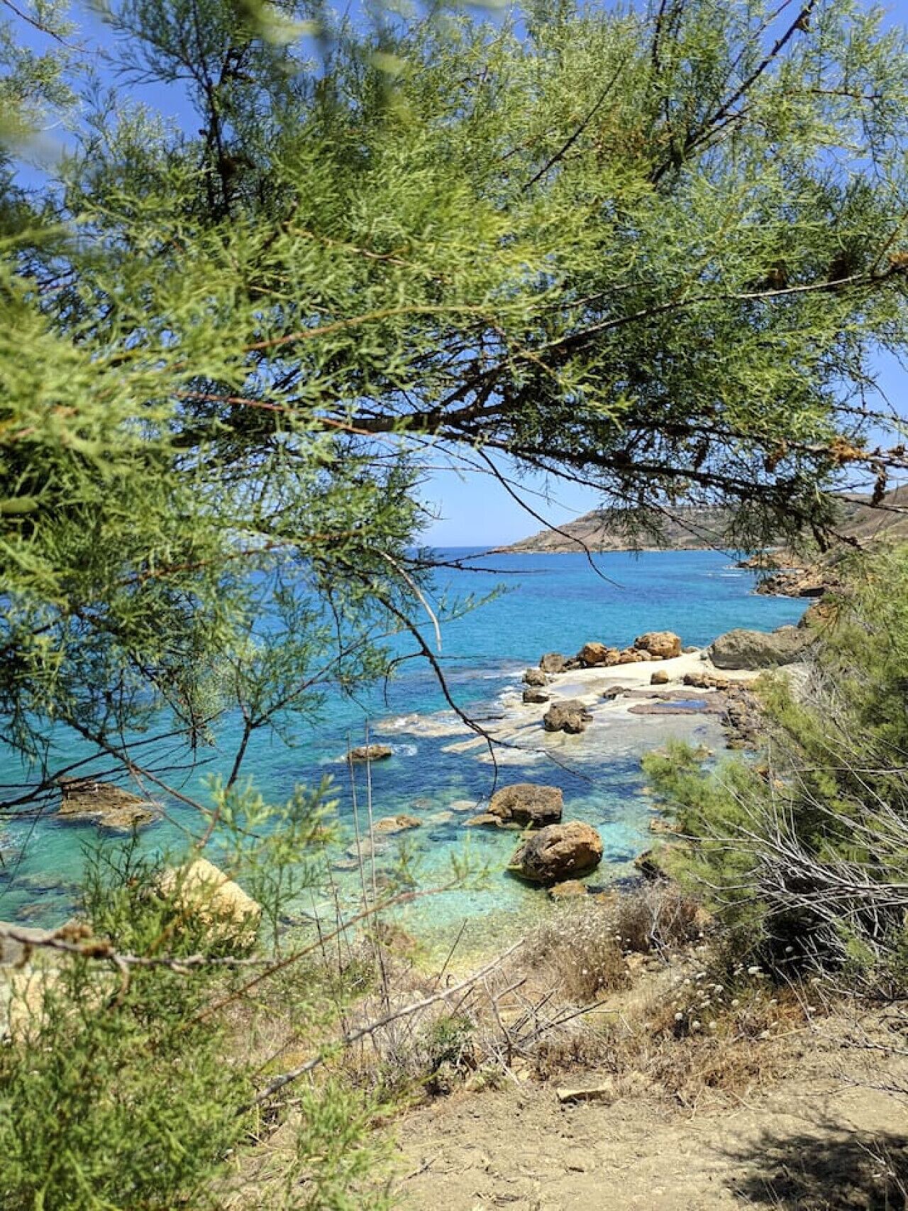 A coastal landscape with clear blue sea, rocky shore, and dense green foliage.