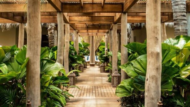 A wooden covered walkway flanked by large tropical plants, leading to a pool area.