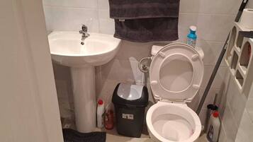 Hårtork, handdukar, tvål och toalettpapper