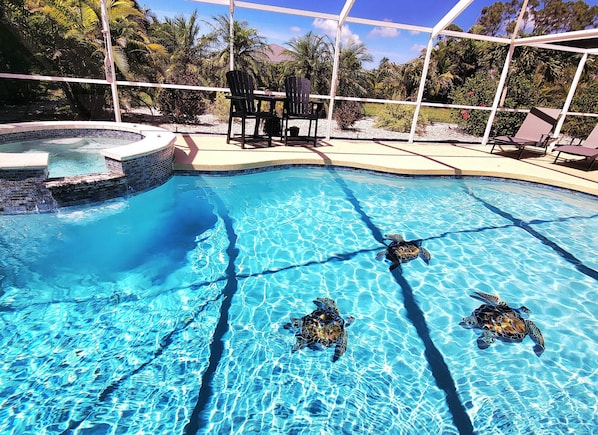 Piscina externa