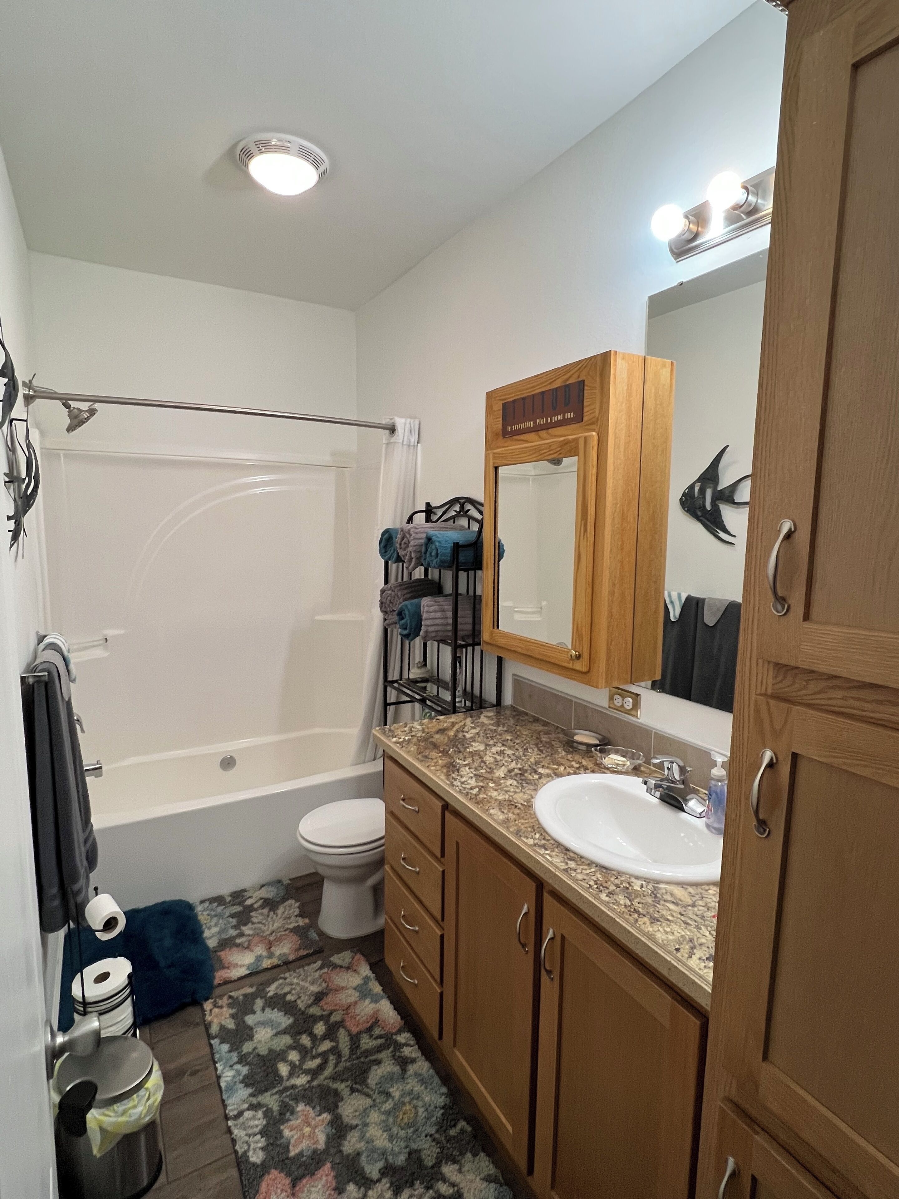 Hair dryer, towels, soap, toilet paper