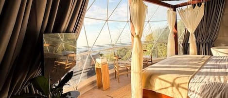 A tented room with a bed, a table with a plant, and a view through the window.