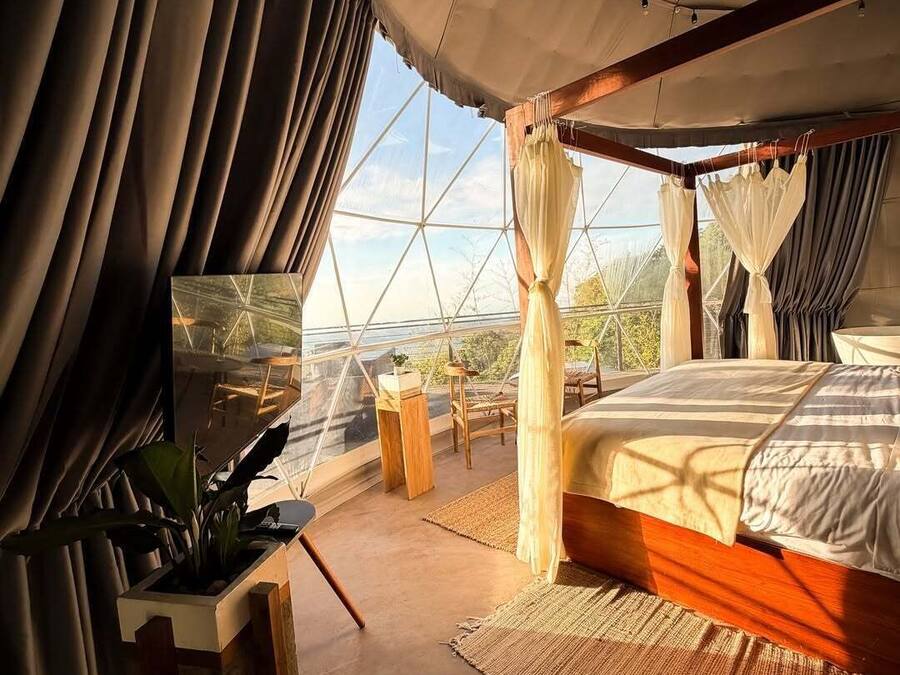 A tented room with a bed, a table with a plant, and a view through the window.