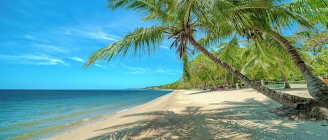Sun loungers, beach towels