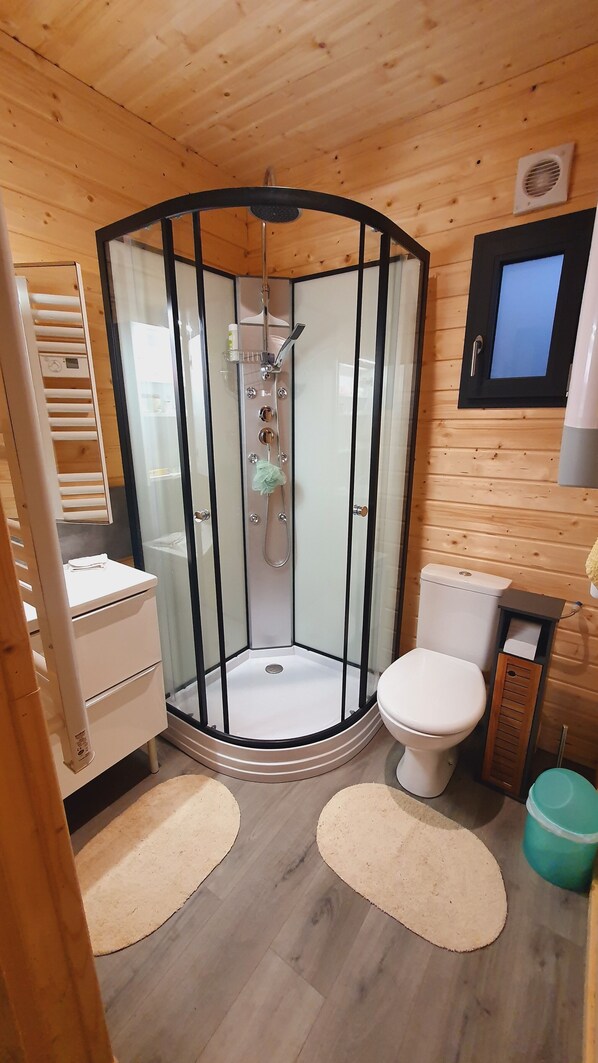 Shower, hair dryer, toilet paper