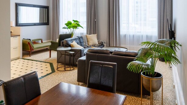 A modern living room with a sofa, a dining table, and chairs, a green sofa, a large potted plant, and a television on the wall.
