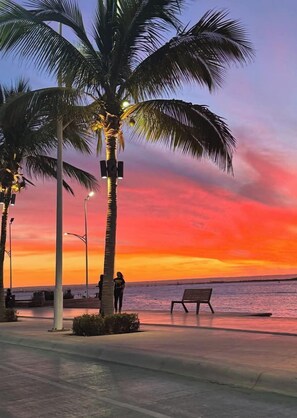 A sunset view with palm trees and a bench by the water. - Casa Navarro (La Paz)