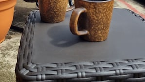 Un patio con mobiliario de mimbre, dos tazas y una planta en maceta.