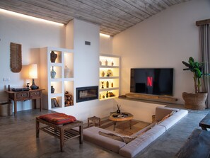 TV connectée, cheminée, livres, médiathèque