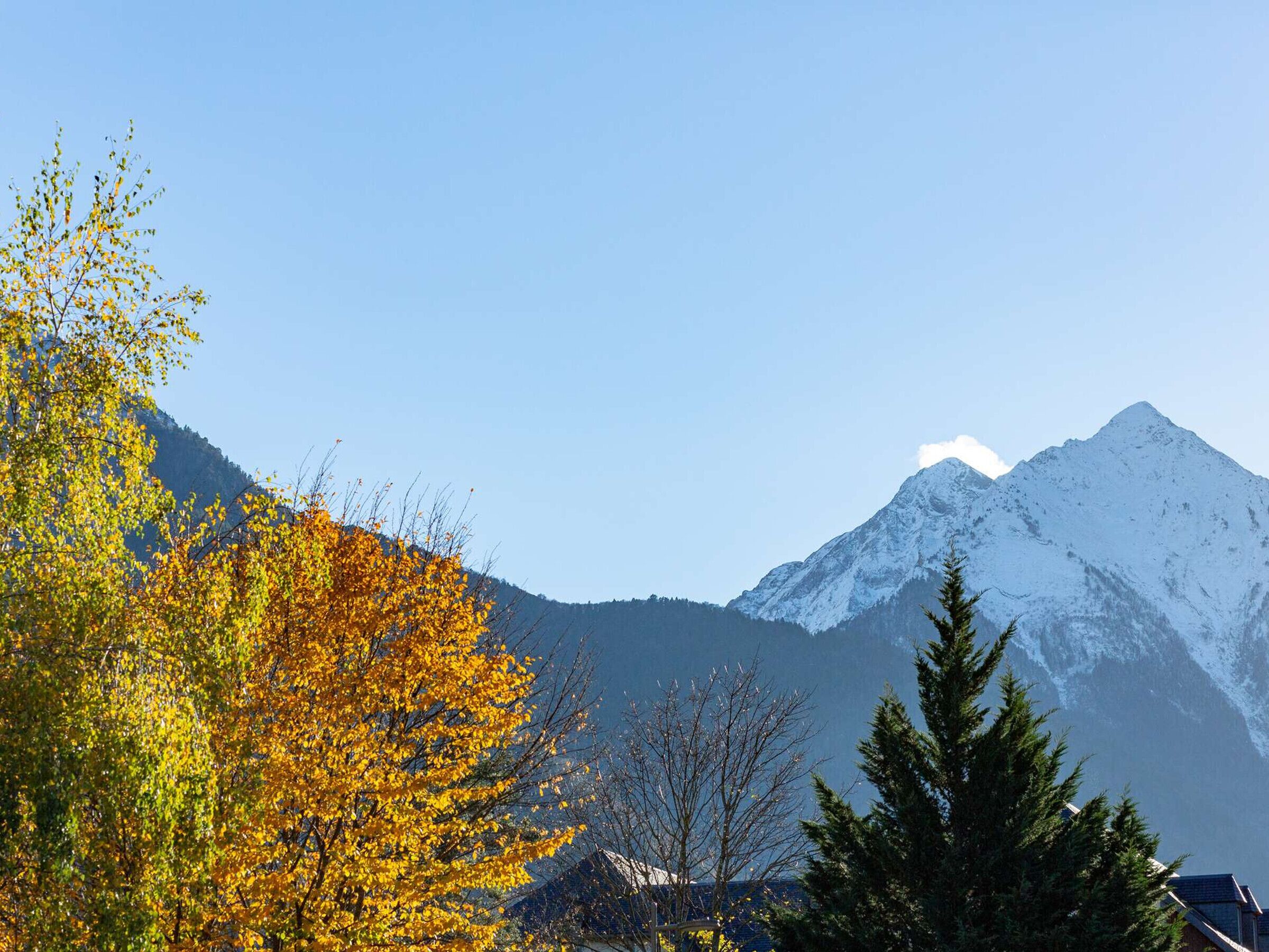 Une montagne dont les sommets sont coiffés de neige, avec un feuillage automnal au premier plan.