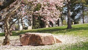 Jardines del alojamiento