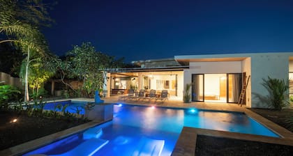 TOTAL PRIVACY! NEW 6 BDRM/6BATH VILLA, WALK to BEACH, 44' POOL/ Spa/Cold Plunge,