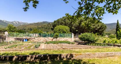 Can Cardina - House with garden close to France