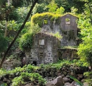 A stone building with ivy-covered walls, surrounded by lush greenery.