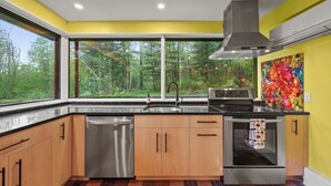 A modern kitchen with a large window, stainless steel appliances, and a colorful abstract painting on the wall. - Friendly Hills | Passive Home • EV Charger (Pittsfield)