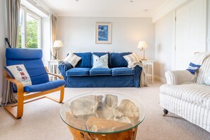 Télévision, cheminée, lecteur de DVD