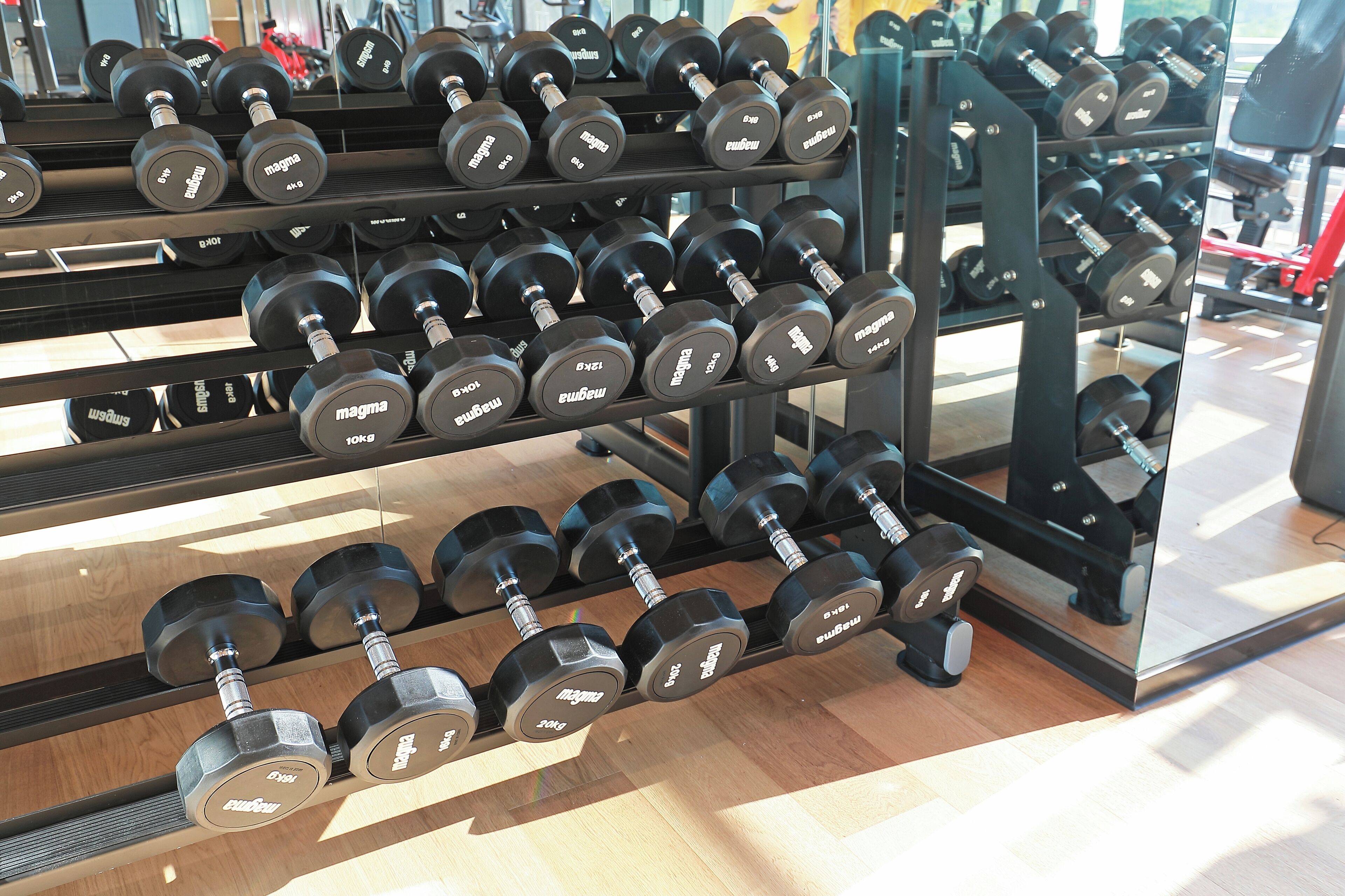 A rack of dumbbells in a gym.