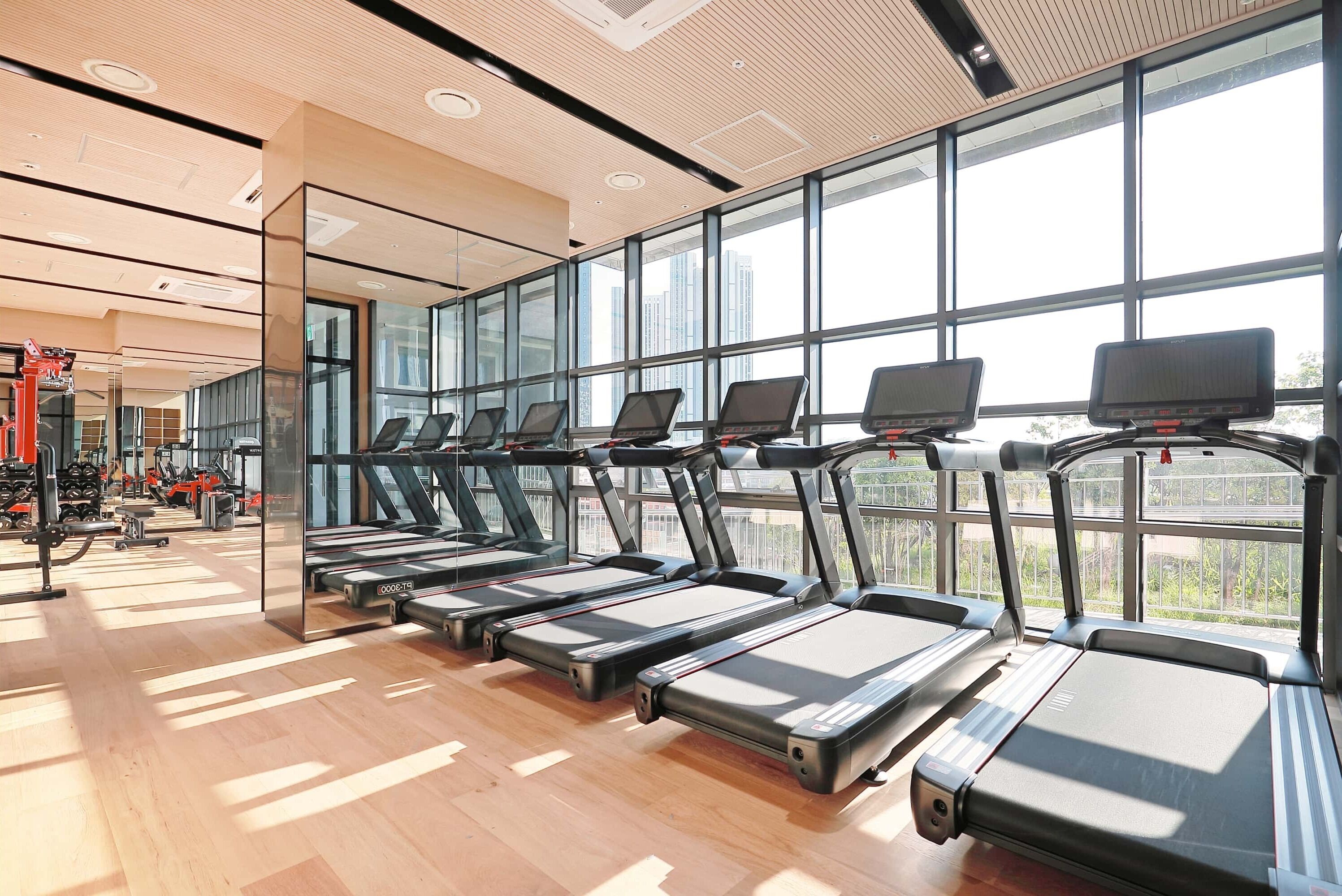 A gym with multiple treadmills aligned in a row, large windows, and exercise equipment in the background.