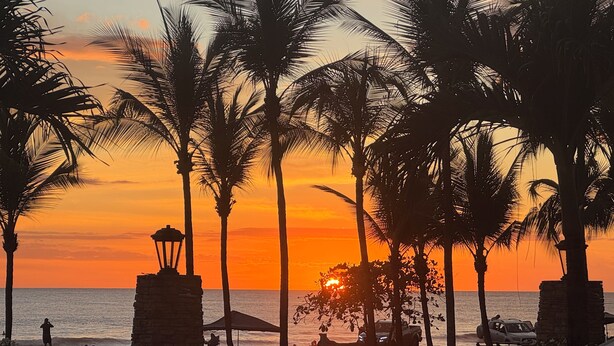 Escena de playa con palmeras y un atardecer.