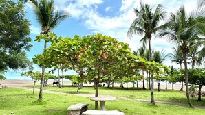 Un jardín con una mesa de piedra y bancos, rodeado de palmeras y vistas a la playa.