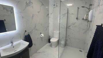 Shower, hair dryer, towels