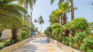 Un sendero pavimentado bordeado por palmeras y plantas con flores, que conduce a un edificio con fachada de piedra.