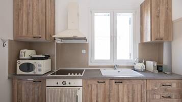 Fridge, oven, coffee/tea maker, toaster