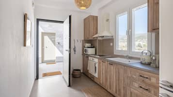 Fridge, oven, coffee/tea maker, toaster