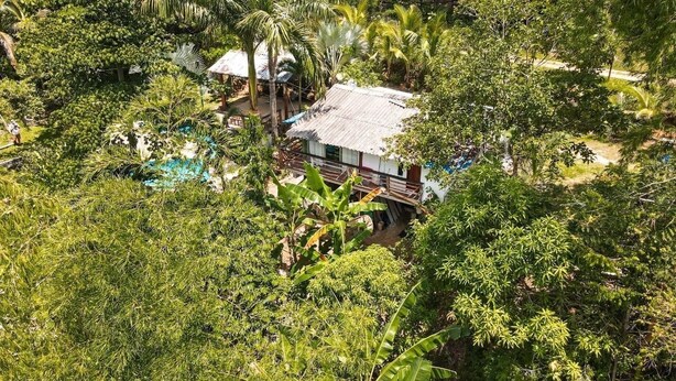 Una casa rodeada de exuberante vegetación tropical, con piscina visible y un pequeño espacio con terraza.