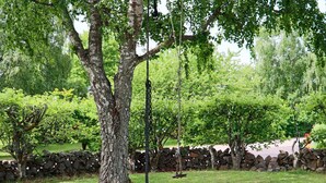 A tree with a swing, a stone wall, and a grassy area. - 4 Person Holiday Home in Steninge (Steninge)