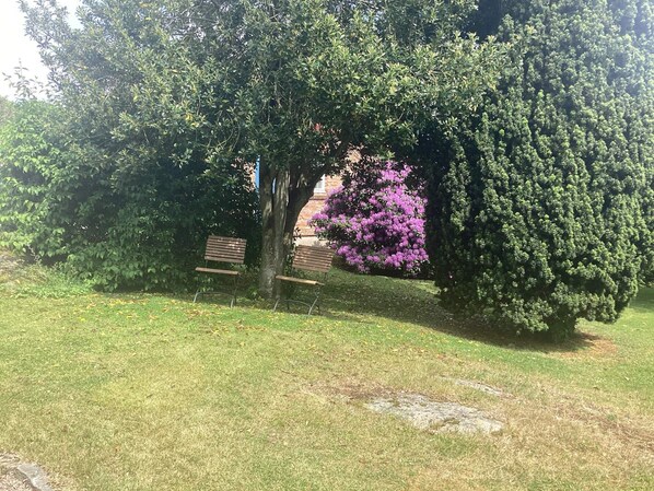 Hus | Udendørsområde