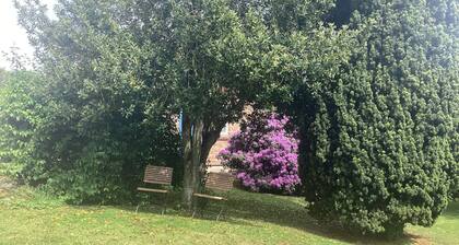 4 Person Holiday Home in Steninge