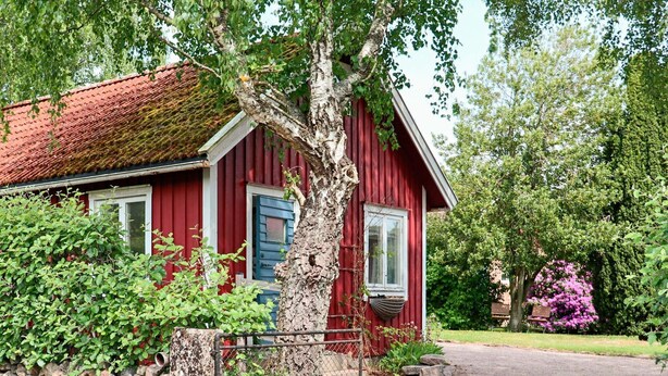 A red wooden house with a stone wall, a tree in front, and a garden with pink flowers. - 4 Person Holiday Home in Steninge (Steninge)