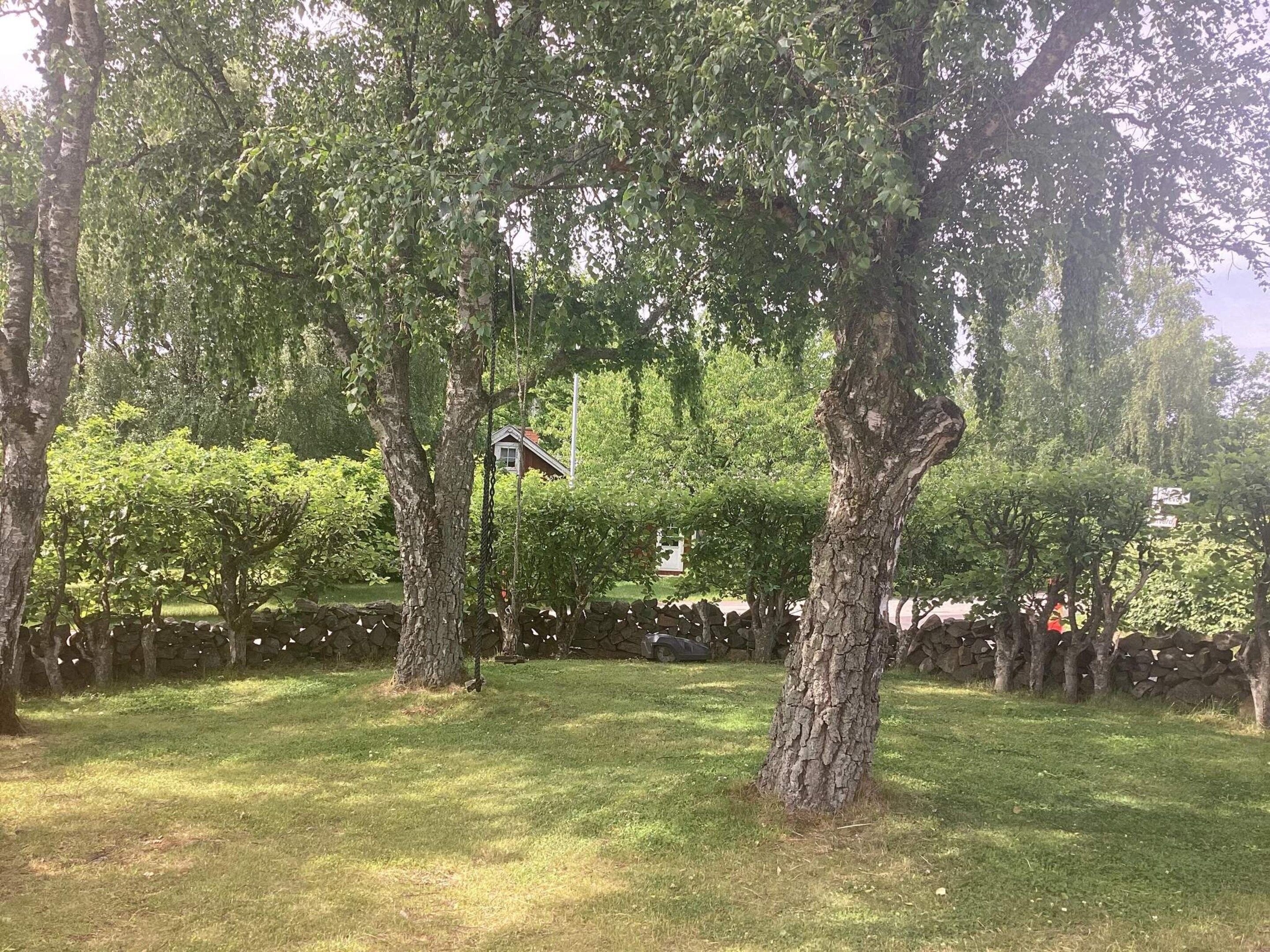 A park with mature trees, a stone wall, and a clear sky.