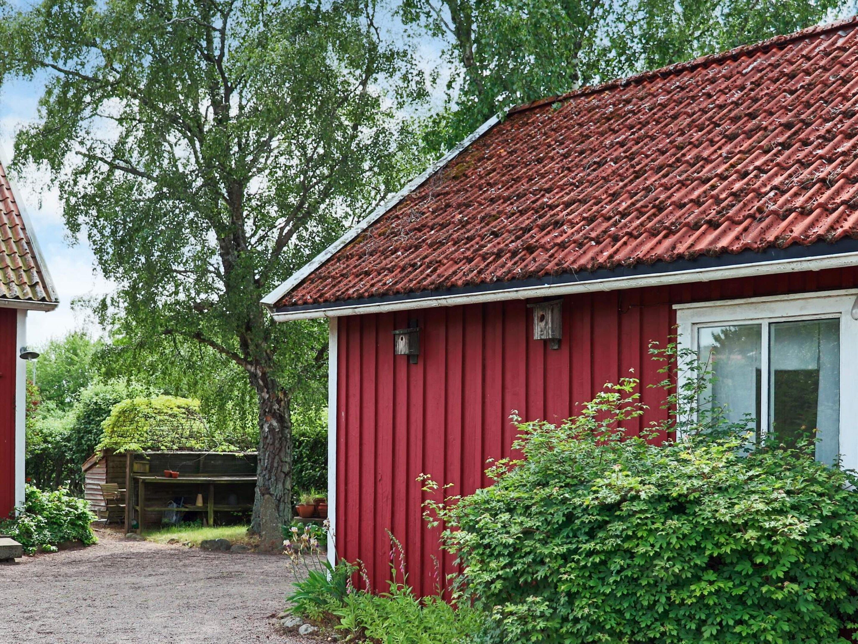 Eksteriør