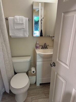 Haartrockner, Handtücher, Seife, Shampoo