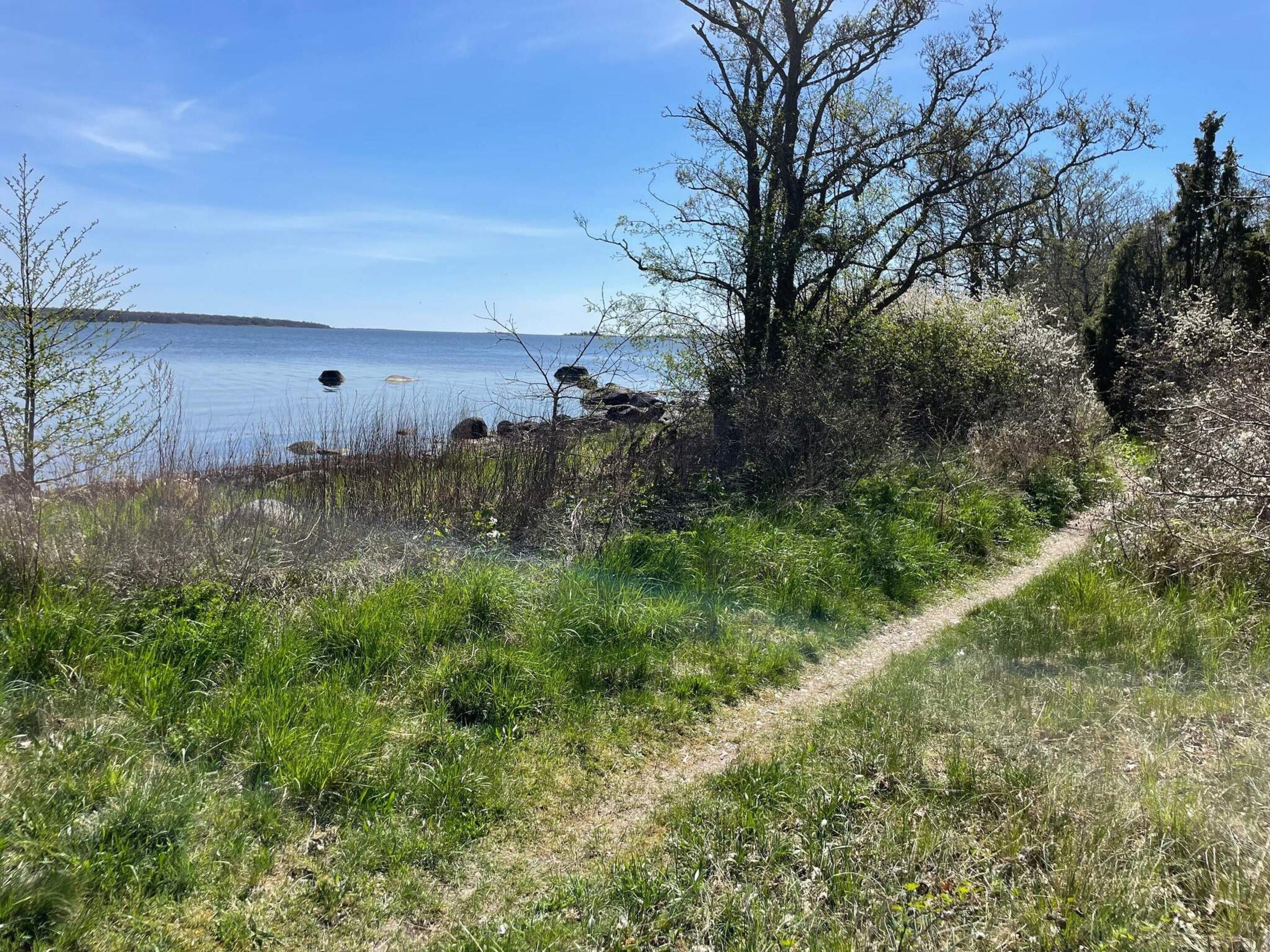 A natural landscape with a clear sky, a body of water, and a dirt path leading towards the water.