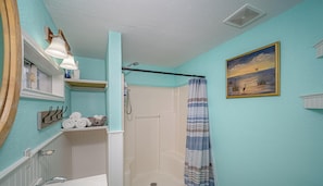 Shower, hair dryer, towels